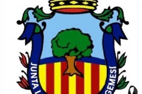 junta local fallera algemesi