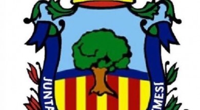 junta local fallera algemesi